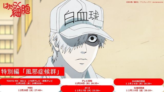 はたらく細胞 特別編「風邪症候群」